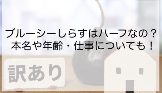 ブルーシーしらすはハーフなの？本名や年齢・仕事についても！