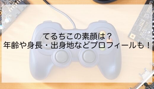 てるちこの素顔は？年齢や身長・出身地などプロフィールも！