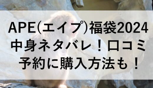 APE(エイプ)福袋2024の中身ネタバレ！口コミや予約に購入方法も！