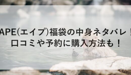 APE(エイプ)福袋2025の中身ネタバレ！口コミや予約に購入方法も！