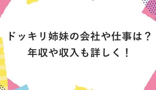 ドッキリ姉妹の会社や仕事は？年収や収入も詳しく！