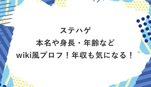 ステハゲの本名や身長・年齢などwiki風プロフ！年収も気になる！