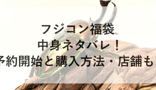 フジコン福袋2025の中身ネタバレ！予約開始と購入方法・店舗も！