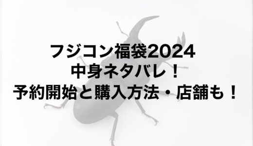 フジコン福袋2024の中身ネタバレ！予約開始と購入方法・店舗も！