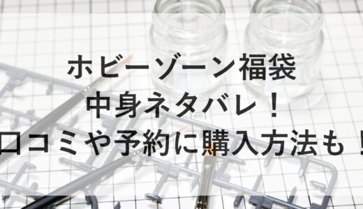 ホビーゾーン福袋2025の中身ネタバレ！口コミや予約に購入方法も！