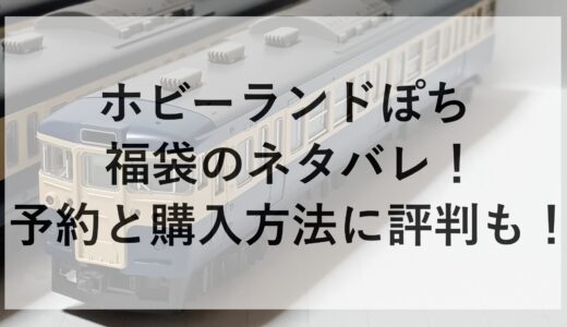 ホビーランドぽち福袋2025のネタバレ！予約と購入方法に評判も！