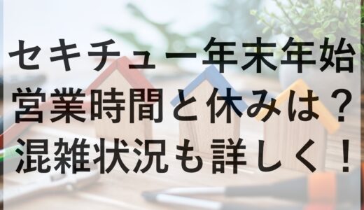 セキチュー年末年始2024~2025の営業時間と休みは？混雑状況も詳しく！