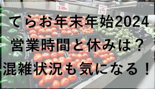 てらお年末年始2024の営業時間と休みは？混雑状況も気になる！