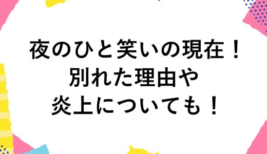 夜のひと笑いの現在2024！別れた理由や炎上についても！
