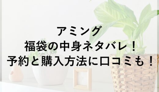 アミング福袋2025の中身ネタバレ！予約と購入方法に口コミも！