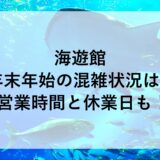 海遊館年末年始2024~2025の混雑状況は？営業時間と休業日も！