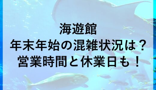 海遊館年末年始2024~2025の混雑状況は？営業時間と休業日も！